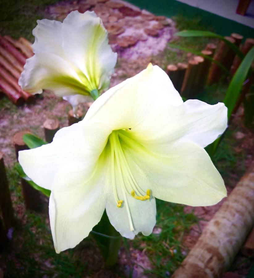 Pousada Tauane การาอิวา ภายนอก รูปภาพ