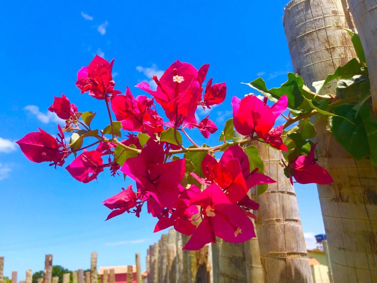 Pousada Tauane การาอิวา ภายนอก รูปภาพ